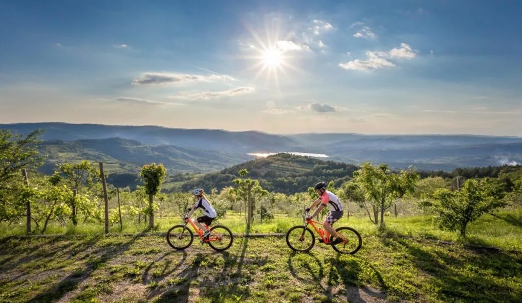 Biciklisti na stazi kroz prirodu po sunčanom danu.
