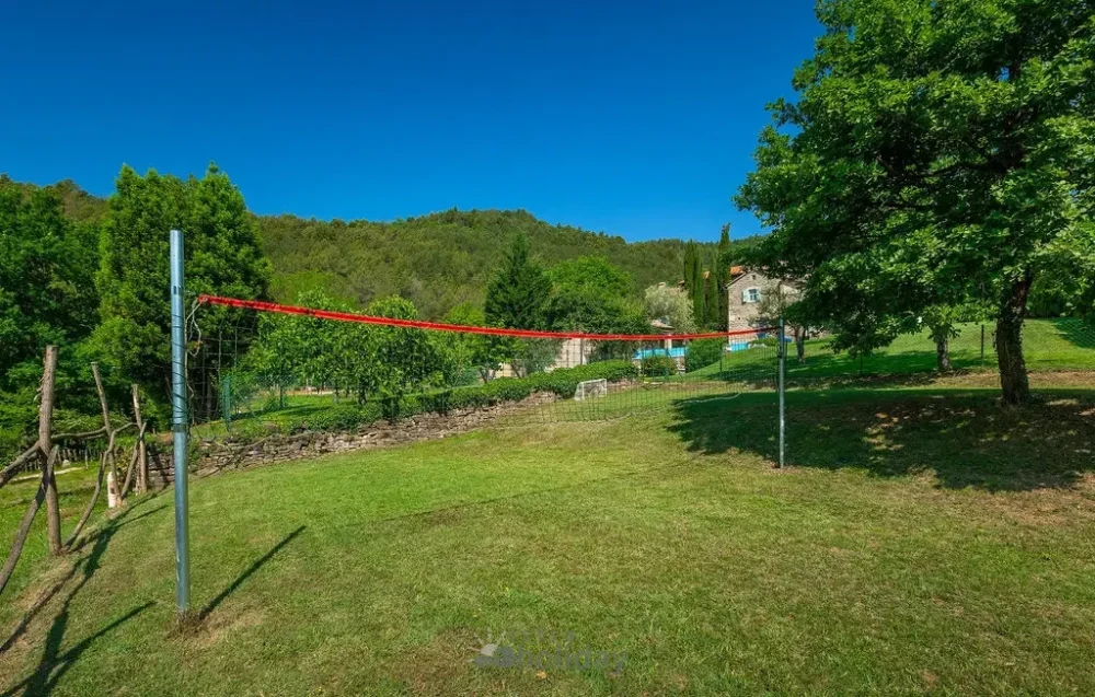 Outdoor volleyball net near trees on sunny day.