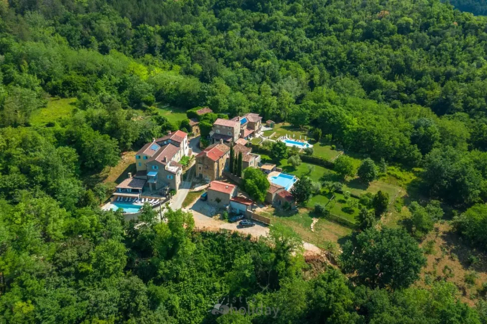 Aerial view of rustic villas in lush forest.