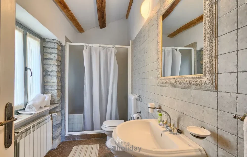 Vintage bathroom with elegant mirror and shower curtain.