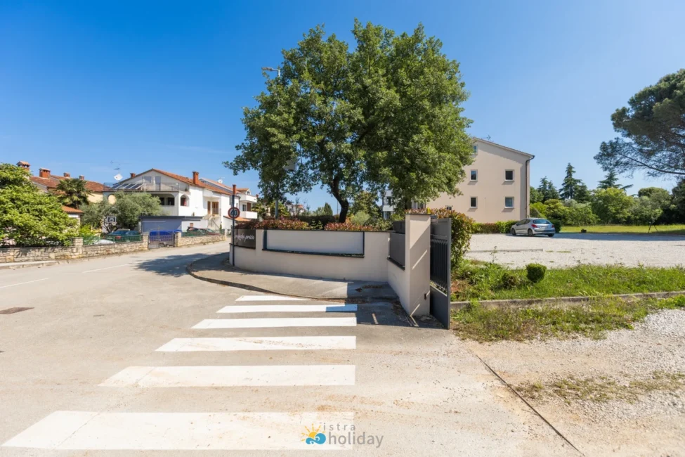 Residential street with crosswalk and large tree