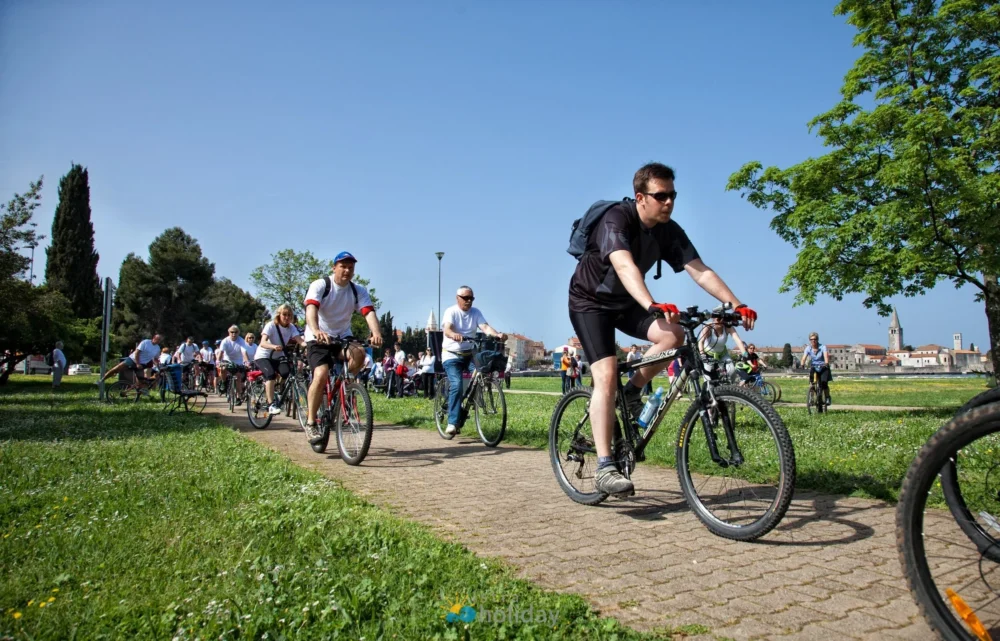 Group of cyclists riding on sunny park path