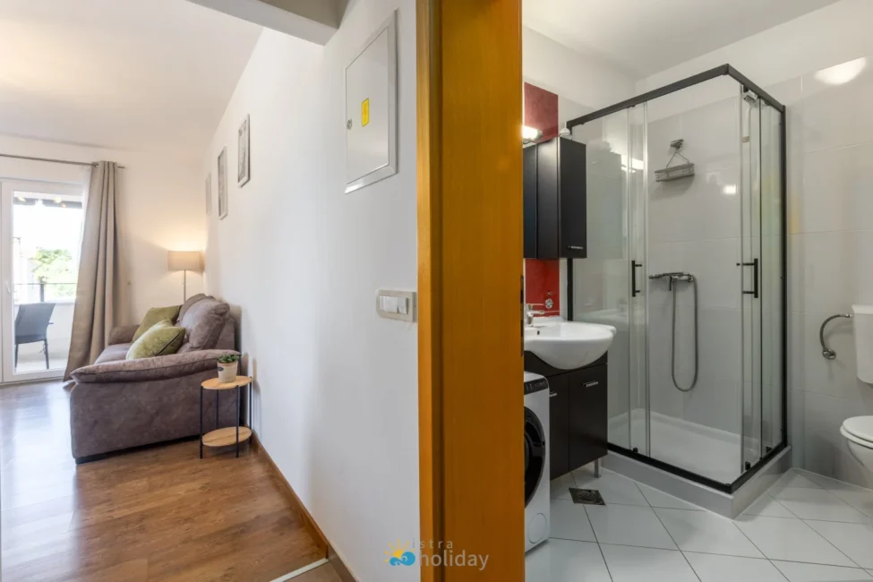 Modern bathroom and adjacent living room interior