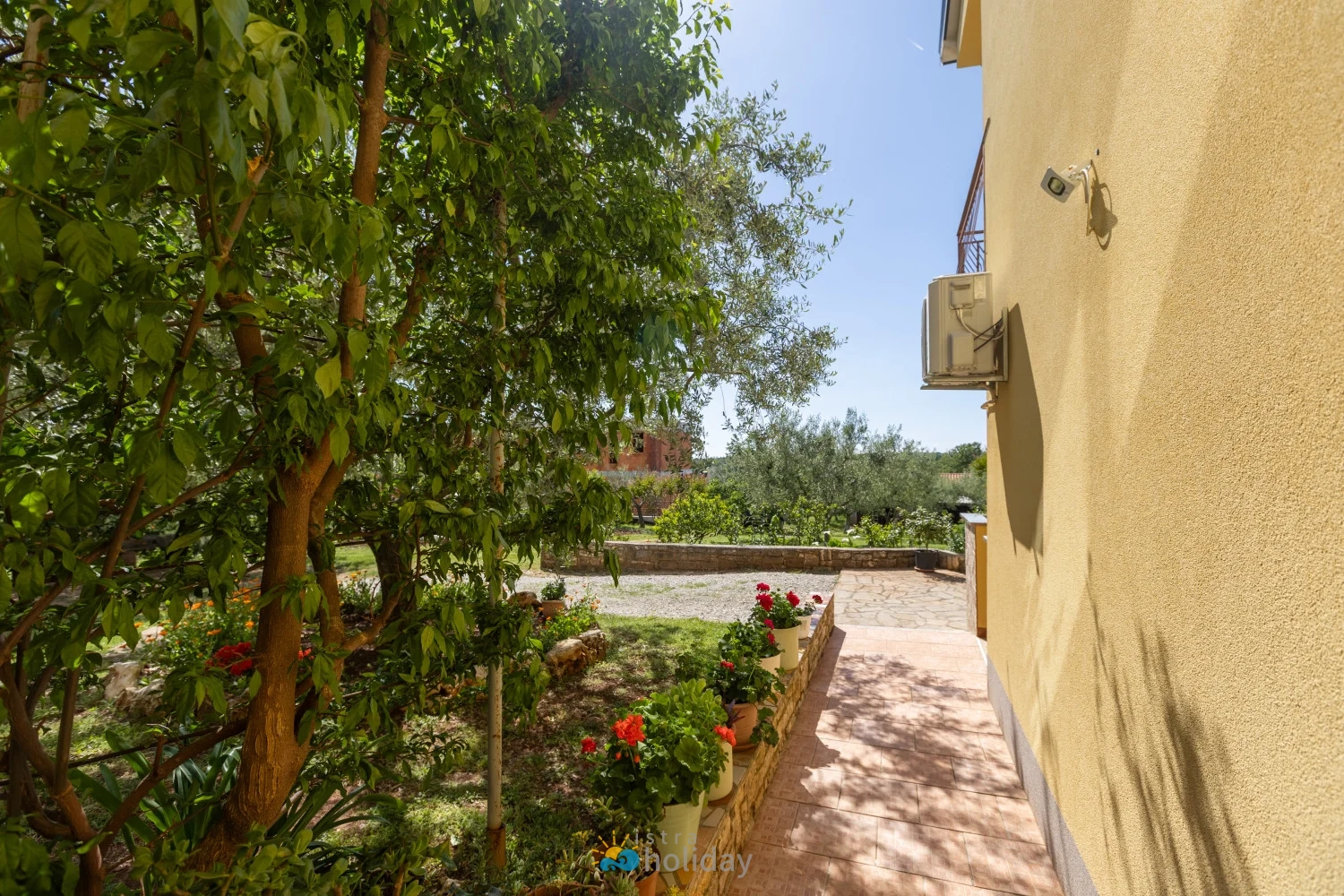 Sunny garden walkway beside yellow house