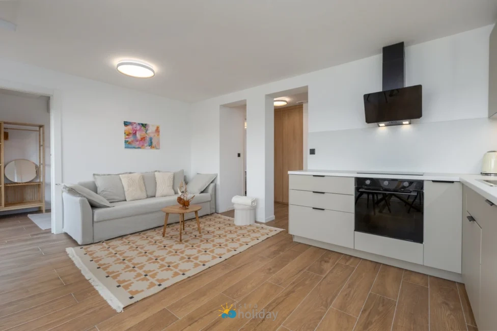 Modern minimalist living room with open kitchen