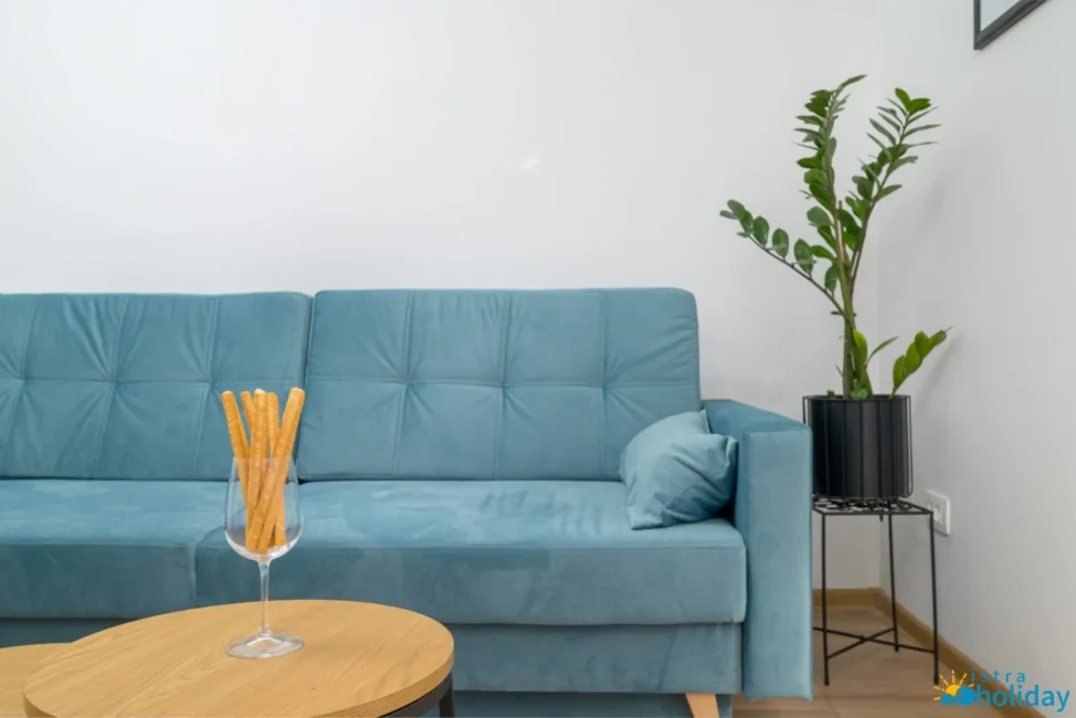 Blue sofa with plant and snack on table.