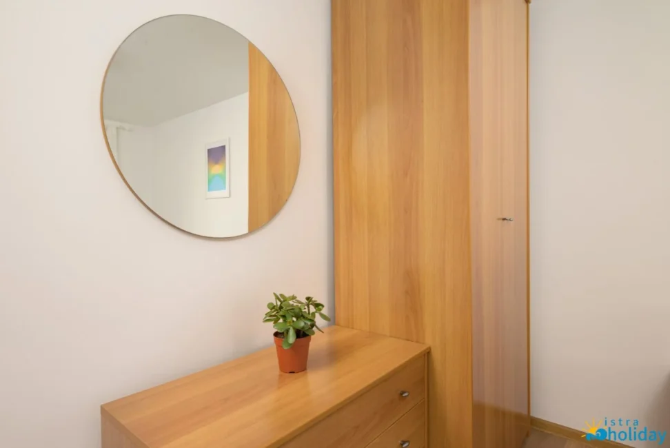 Minimalist wooden wardrobe with round mirror and plant