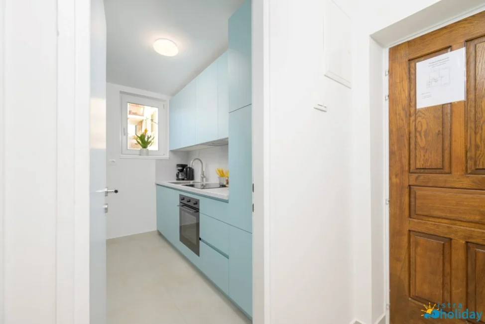 Modern compact kitchen with blue cabinets.