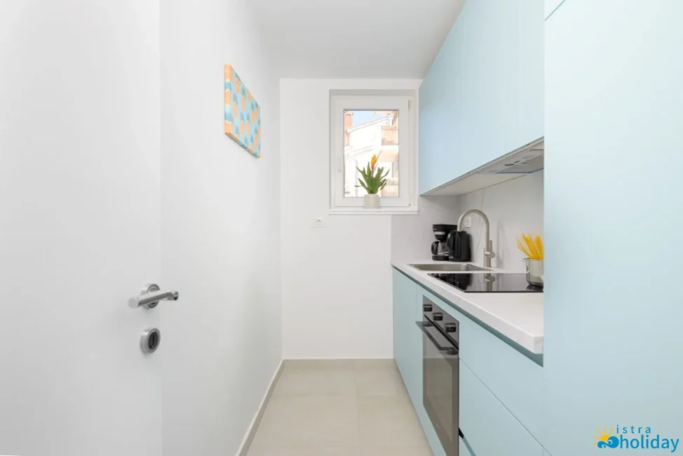 Modern small kitchen with blue cabinets