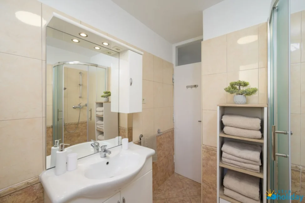 Modern bathroom with shower and sink