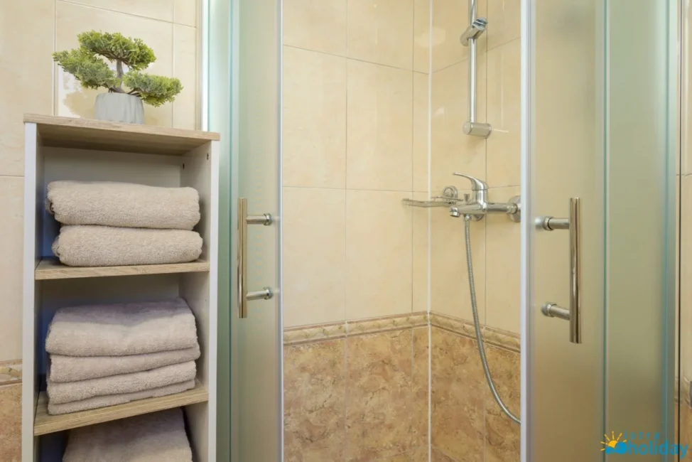 Modern shower and towel shelf with plant