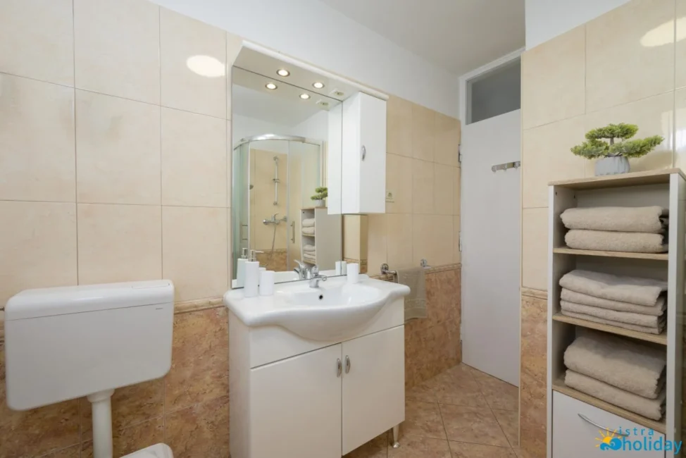Modern bathroom with shelves and shower.