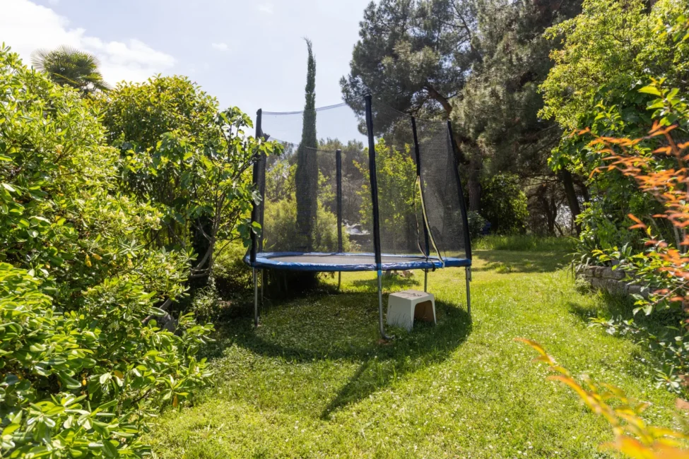 Backyard trampoline surrounded by lush green garden