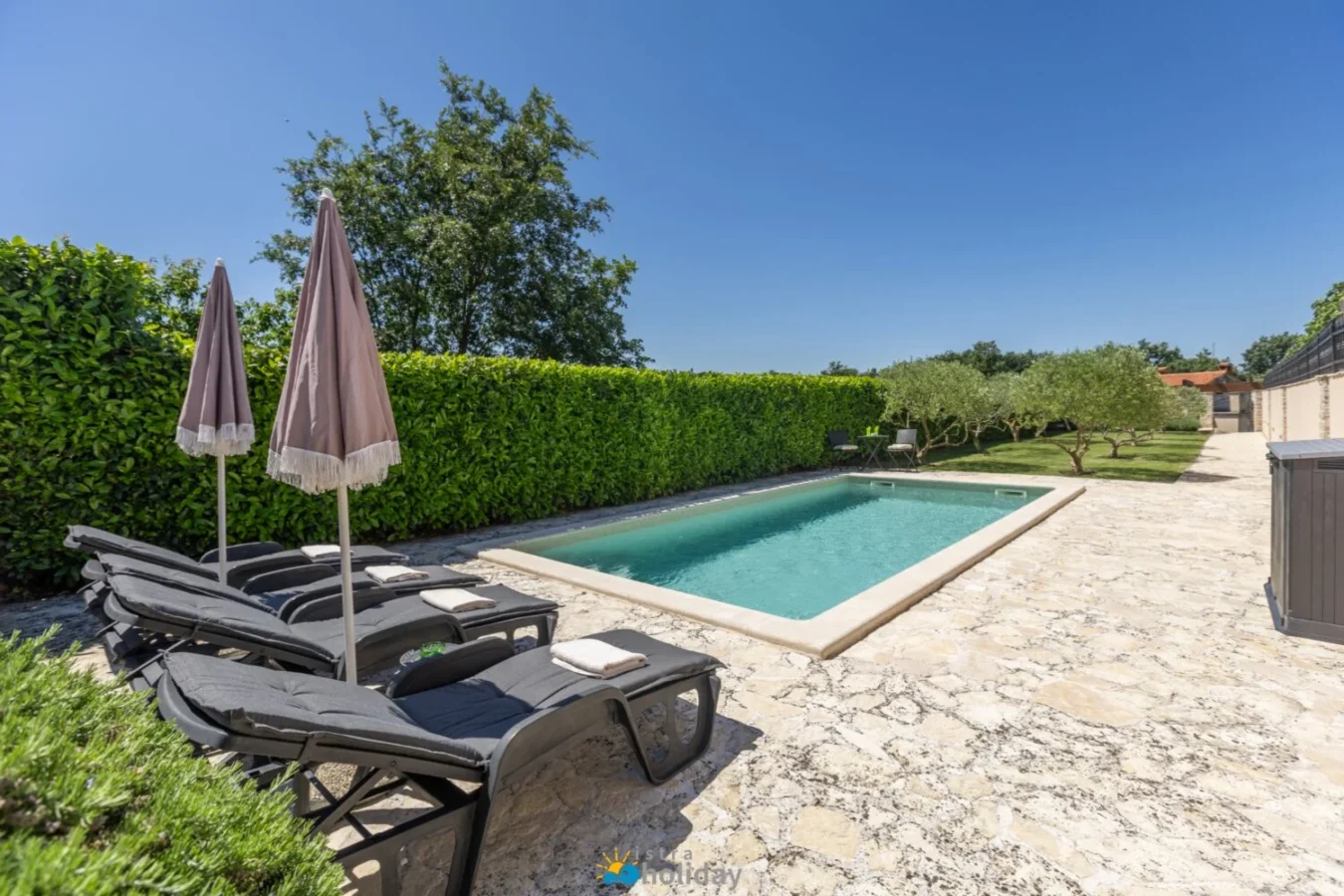 Private backyard pool with lounge chairs and umbrellas