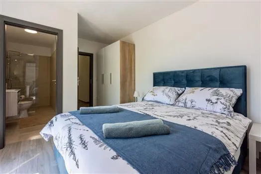 Modern bedroom with blue accents and ensuite bathroom