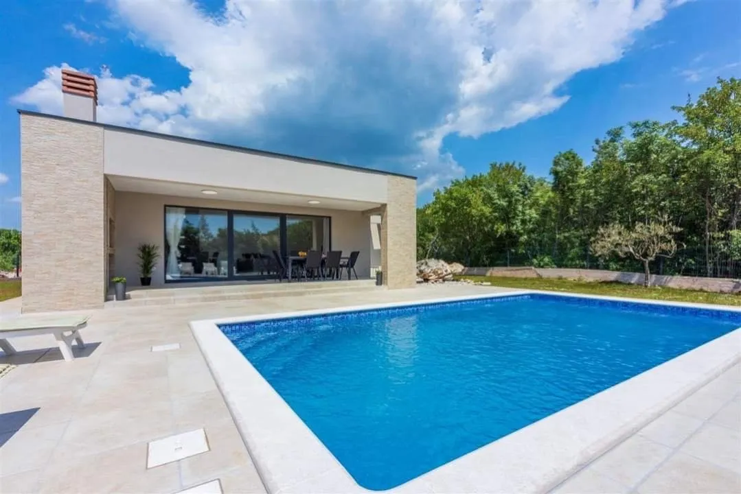 Modern house with backyard swimming pool and patio