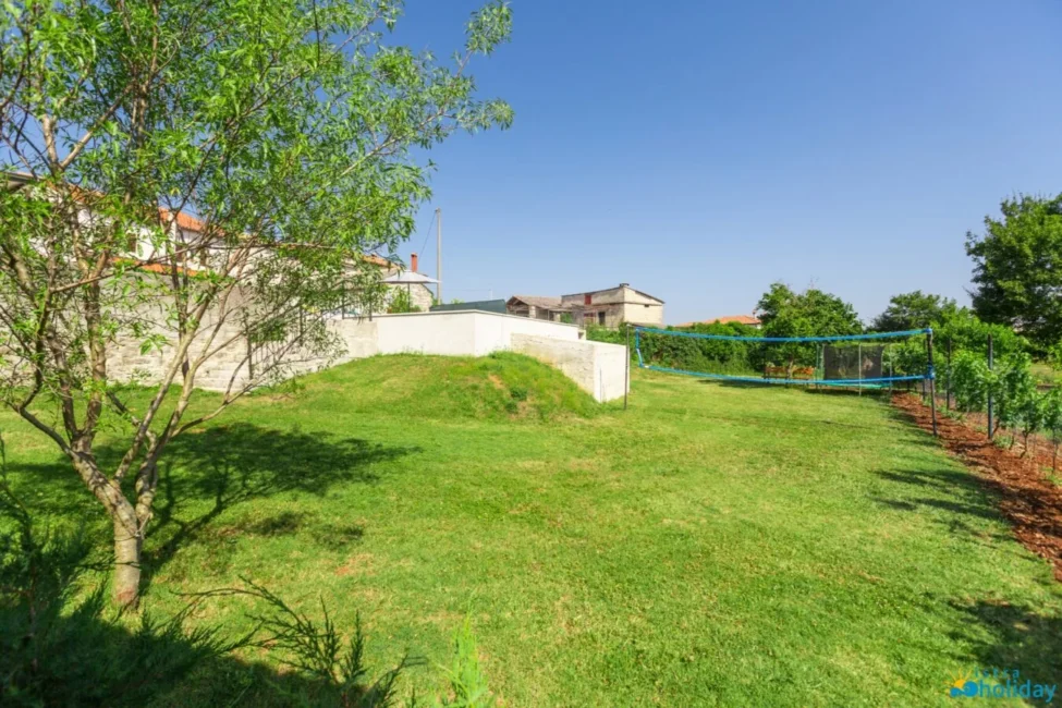 Sunny backyard with grass and trees