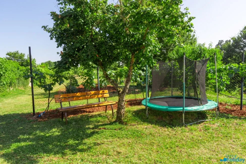 Garden with bench and trampoline under tree