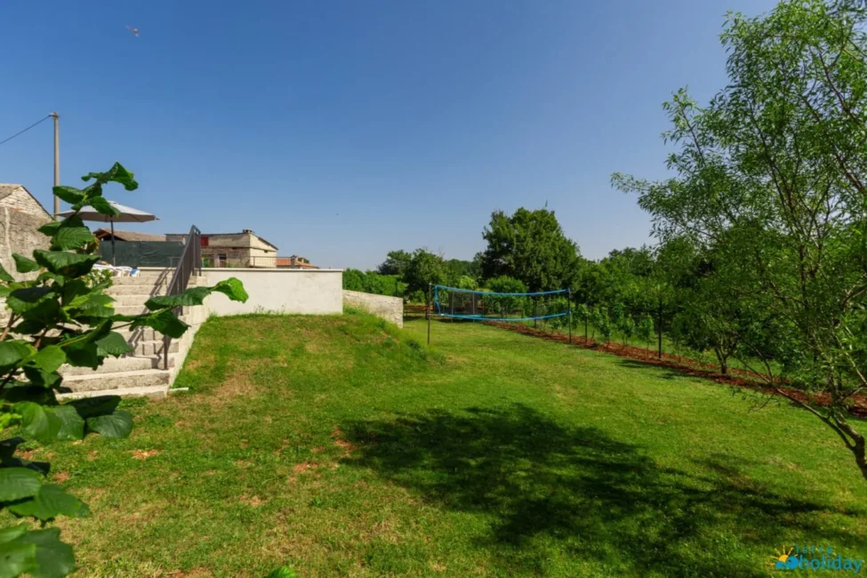 Spacious grassy backyard with trampoline and trees.