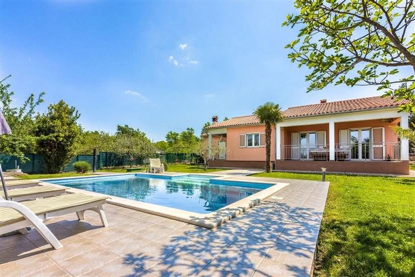 Modern house with backyard swimming pool and patio