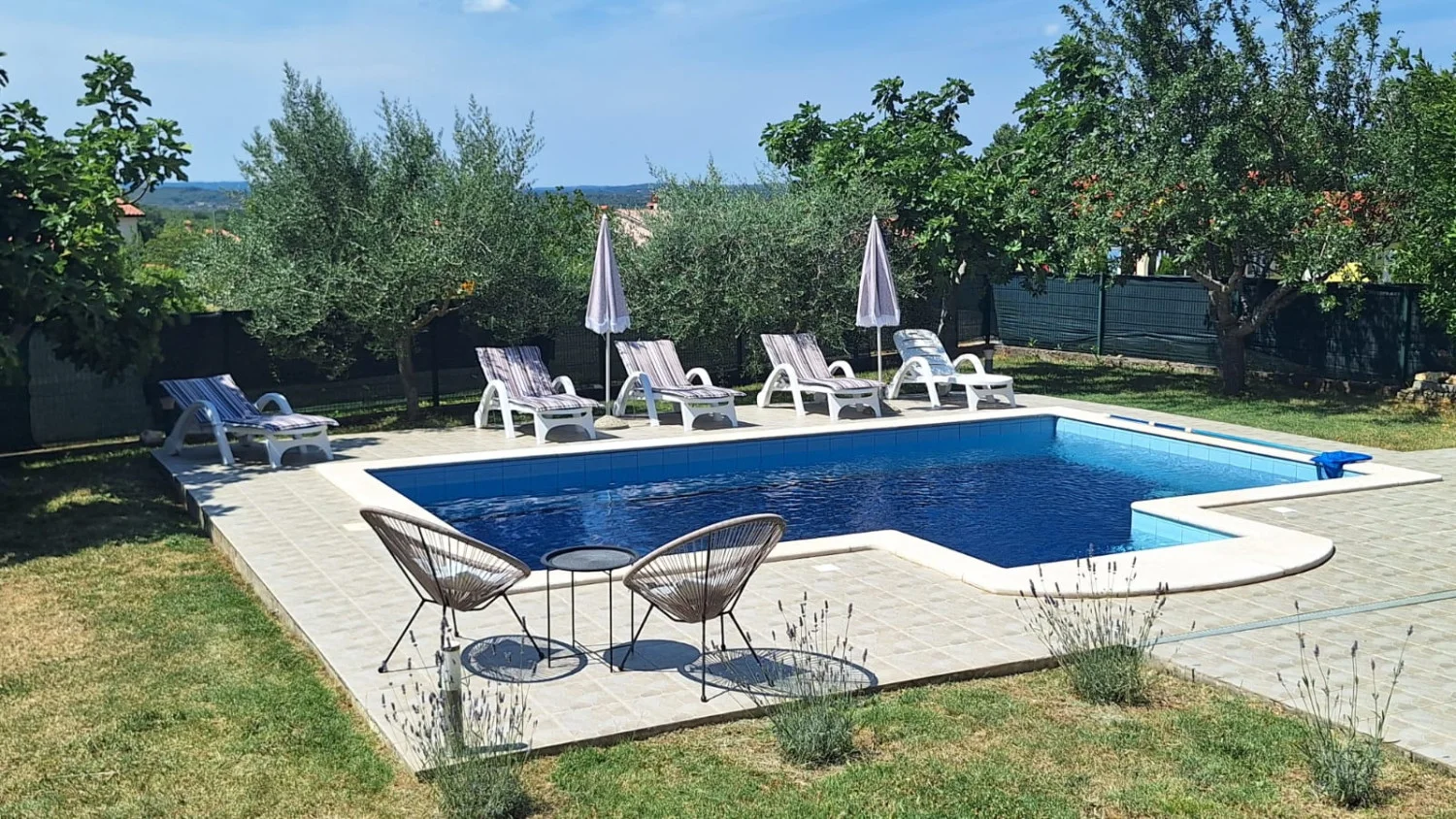 Backyard swimming pool with lounge chairs and umbrellas