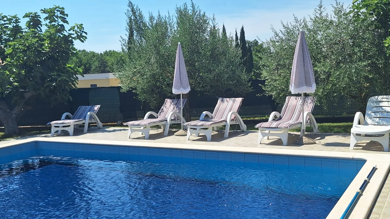 Outdoor swimming pool with lounge chairs and umbrellas