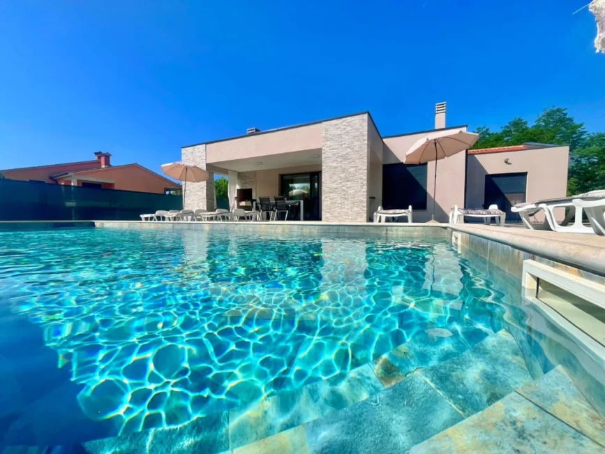 Modern house with backyard swimming pool