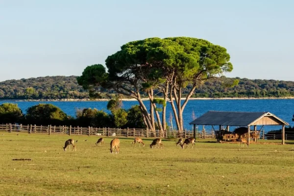 Istra holiday