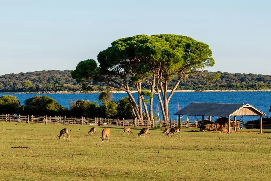 Istra holiday
